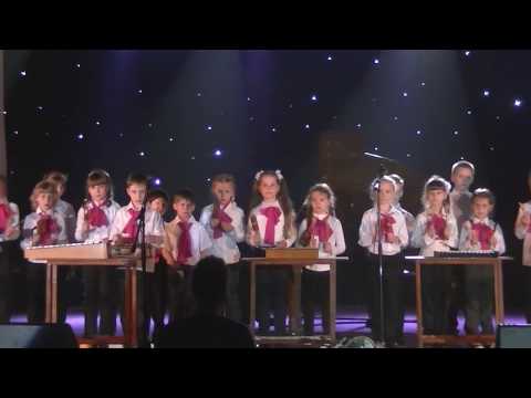 Видео: шумовой оркестр подготовительная группа