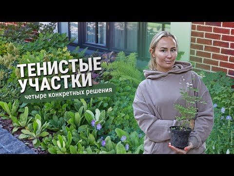 Видео: Тенистые участки. Четыре конкретных примера.