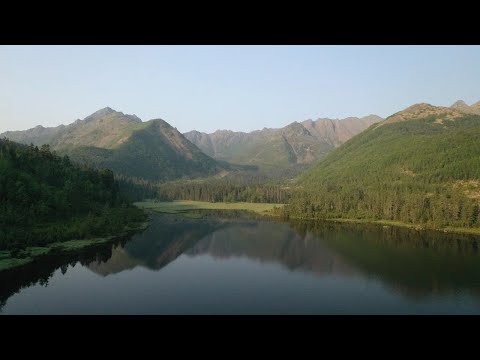 Видео: Истоки Горинских озёр