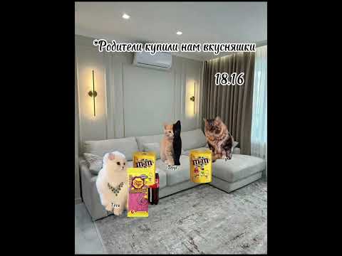 Видео: Рил: Встреча с другом после долгой разлуки. Все серии. 