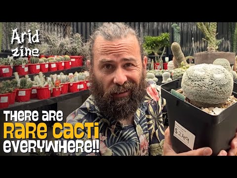 Видео: Давайте отправимся за редкими растениями в Cactus Vision в Сиднее!