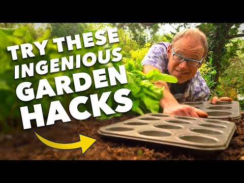 Видео: Раскрыты мои главные секреты торговли