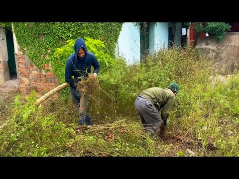 Видео: Посмотрите, как спасают заброшенный дом, и проникнитесь духом уборки