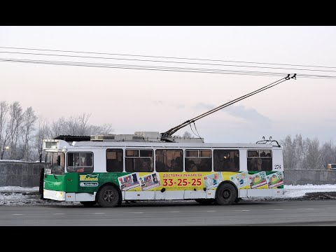 Видео: Лис шакальный едет в троллейбусе и шакально его снимает