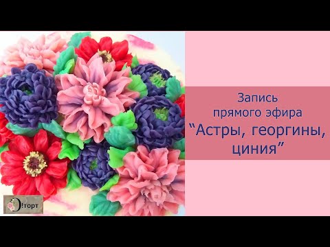 Видео: Кремовые астры, георгины, цинии. Запись прямого эфира.