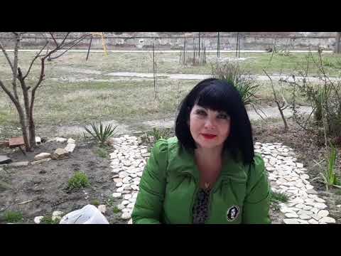 Видео: Влог / Работа на участке