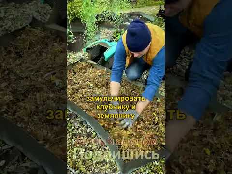 Видео: Самый простой способ превратить ЛИСТЬЯ В ДЕНЬГИ #дачныйагроном #удобрения #рекомендуем