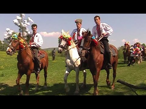 Видео: Автентичне весілля в Березові на конях.Authentic wedding in Berezov on horseback.