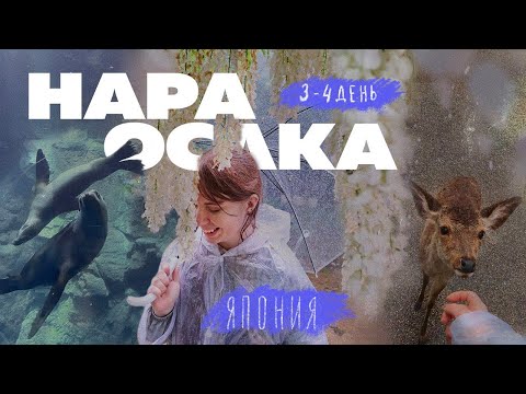 Видео: Путешествуем по Японии с подружкой  / День 3-4 / Нара и Осака