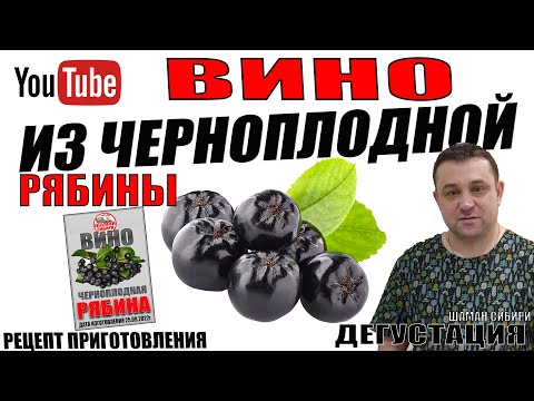 Видео: Вино из Черноплодной рябины! Простой рецепт приготовления! Дегустация!