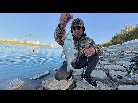 Видео: Рыбалка на резинку: Тестирую крючки и приманки