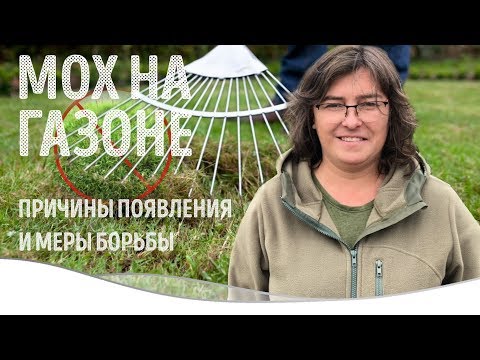 Видео: Мох на газоне. Причины появления и меры борьбы.