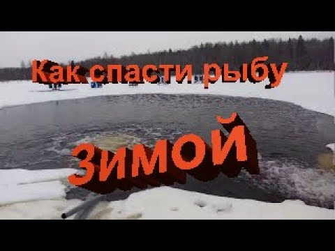 Видео: Аэрация пруда зимой в 6 Га и средней глубиной 1.5 метра.