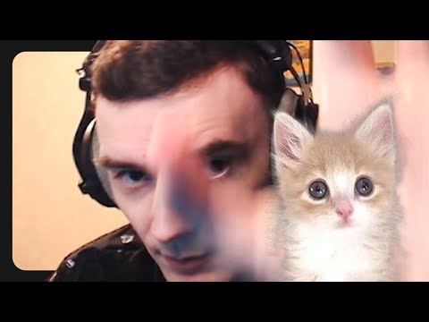 Видео: Вот почему Рекви ненавидит кошек