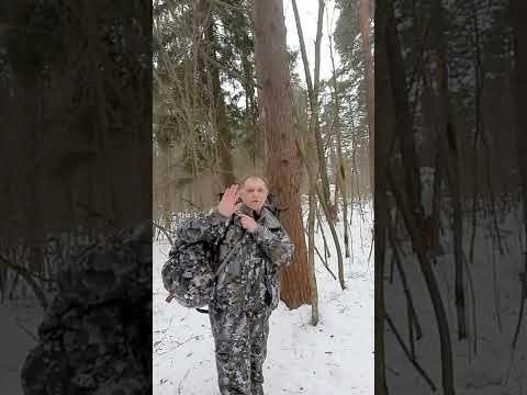 Видео: Обзор тристенда Scorpio и экипировки Sitka