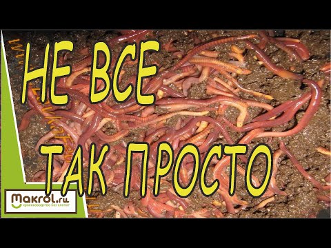 Видео: 👉Про червей из первых уст. 🤠Земеля. МакляК. Макрол.