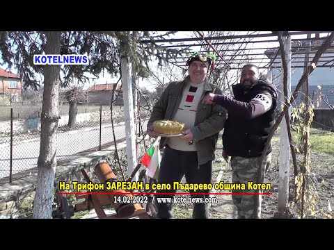 Видео: На Трифон ЗАРЕЗАН в с. Пъдарево '2022  / www.kotelnews.com