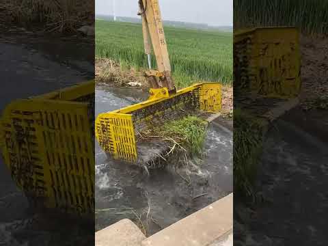 Видео: Ловля рыбы JCB 🐠🐟 в реке Ивер