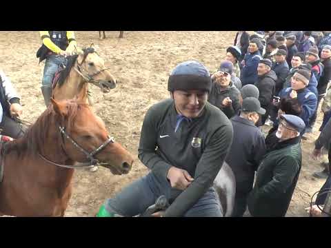 Видео: Назарсейітовтер әулетінің елден бата алу көкпар тойы | Шиелі ауданы | 10 наурыз 2024 жыл