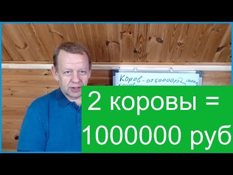 Видео: Бизнес в деревне 2 коровы. Семья может получить 1000000 рублей в год.