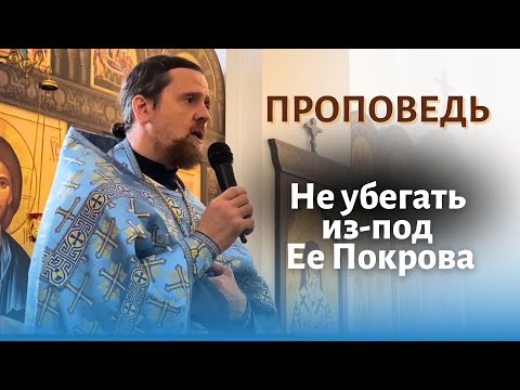 Видео: Не убегать из-под Ее Покрова