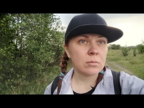 Видео: Почему я не работаю по специальности?