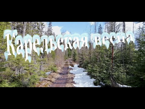 Видео: Карельская весна. Майский поход по Ленинградской области (ост.п. Инкиля-ост.п. Инкиля)