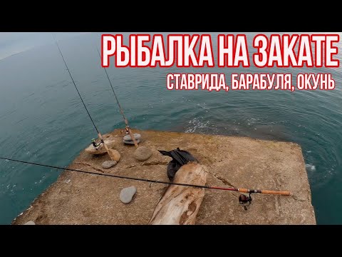 Видео: Рыбалка на закате