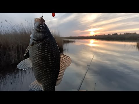 Видео: Уелги.После такой Рыбалки эти Поклёвки мне будут Сниться.