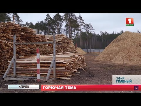 Видео: Пеллетное производство: как заработать на переработке древесины? Главный эфир