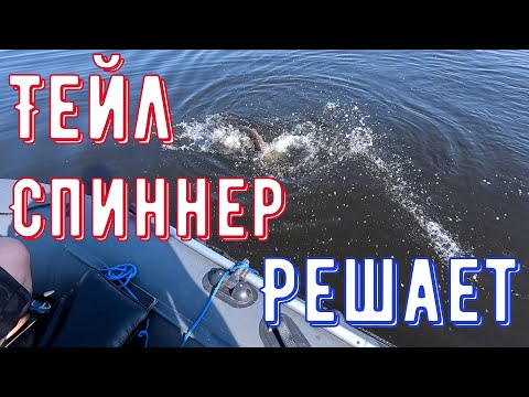 Видео: Щука Судак Окунь на Тейл-спиннеры. Раздача окуня. Иваньковское и Пестовское вдхр. Lowrance HDS Live