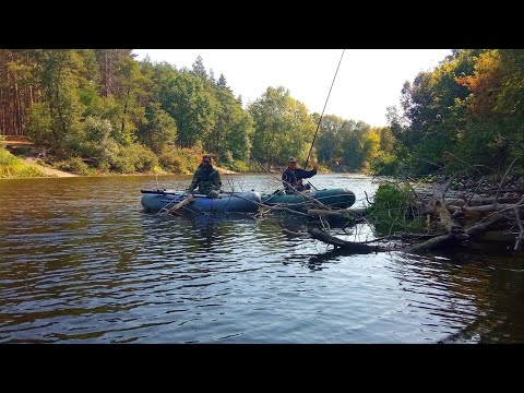 Видео: В ЦИХ КОРЧАХ РИБА ВИКРУЧУЄ РУКИ.Рибалка на боковий кивок