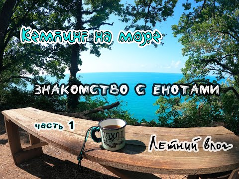 Видео: Кемпинг на море в Архипо-Осиповке/Знакомство с енотами/Влог