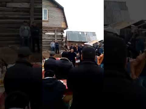 Видео: Тюменда туй Аппонликлар