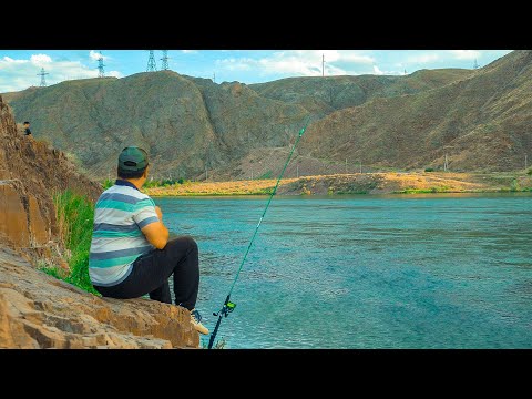 Видео: РЫБАЛКА и ОТДЫХ на реке ИЛИ/ Мертвые дачи, топчаны/ БЕШЕННЫЙ КЛЕВ мелкой рыбы