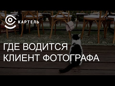 Видео: Где водится клиент фотографа