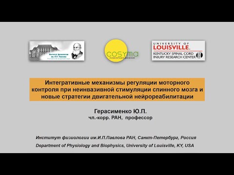 Видео: Герасименко Ю.П. - Неинвазивная стимуляция спинного мозга