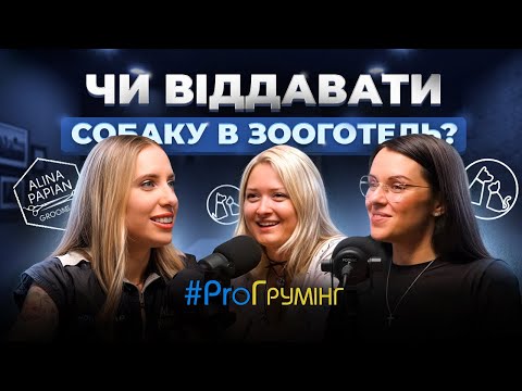 Видео: Зооготель та садочок для собак і котів: що це, для чого потрібні та як вони працюють?