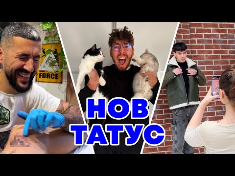 Видео: СТОКА ЗА 15К, ХАОС С КОТКИ И ФОТОСЕСИЯ