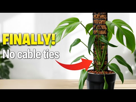 Видео: Почему я заменил уродливые кабельные стяжки на этот столб из мха в стиле «язычка»