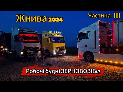 Видео: Розпочалися Жнива 2024 Спекотна робота Зерновозів на Хмельниччині МХП Рідний-Край Частина 3