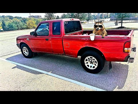 Видео: Посмотрите это перед покупкой Ford Ranger. Всё, что вам нужно знать. Лучший обзор.