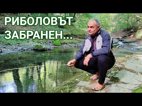 Видео: РИБОЛОВЪТ НА РЕКА БЕЛИ ОСЪМ СЕ ОСУЕТИ КАТО ВИДЯХ ТАБЕЛКИ С НАДПИС: "РИБОЛОВЪТ ЗАБРАНЕН"!