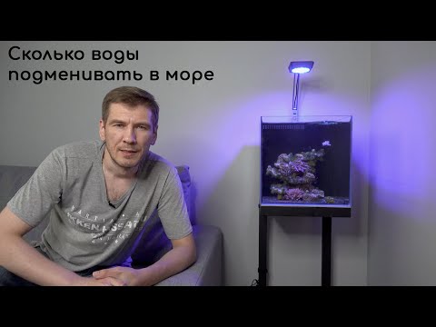 Видео: Объём подмен в морском аквариуме