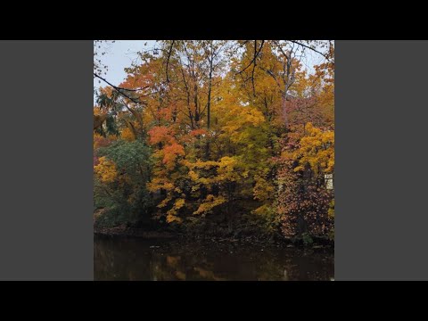 Видео: Моя милая осень
