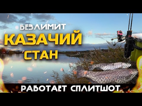 Видео: ЛОВЛЯ ФОРЕЛИ! Безлимит "Казачий стан"! Ловлю форель, на шнур без крючка!