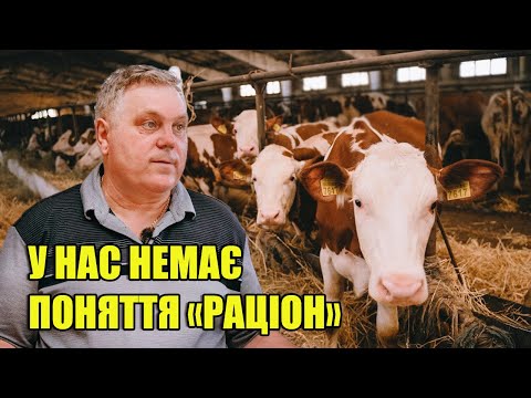 Видео: Молочна ферма як бізнес: зоотехнік про годівлю, надої та мільйонні борги заводів | Куркуль