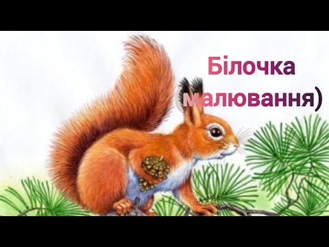 Видео: ,, Білочка,, ( малювання)