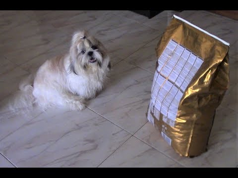 Видео: Как отличить качественный сухой корм от плохого