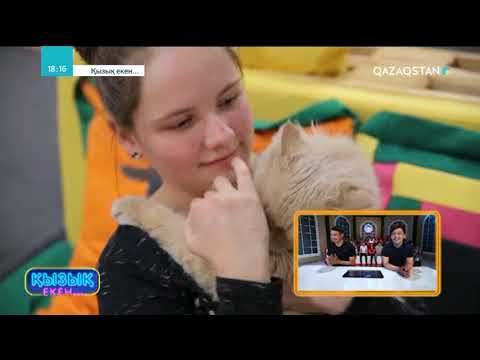 Видео: 06.06.2018 - Қызық екен